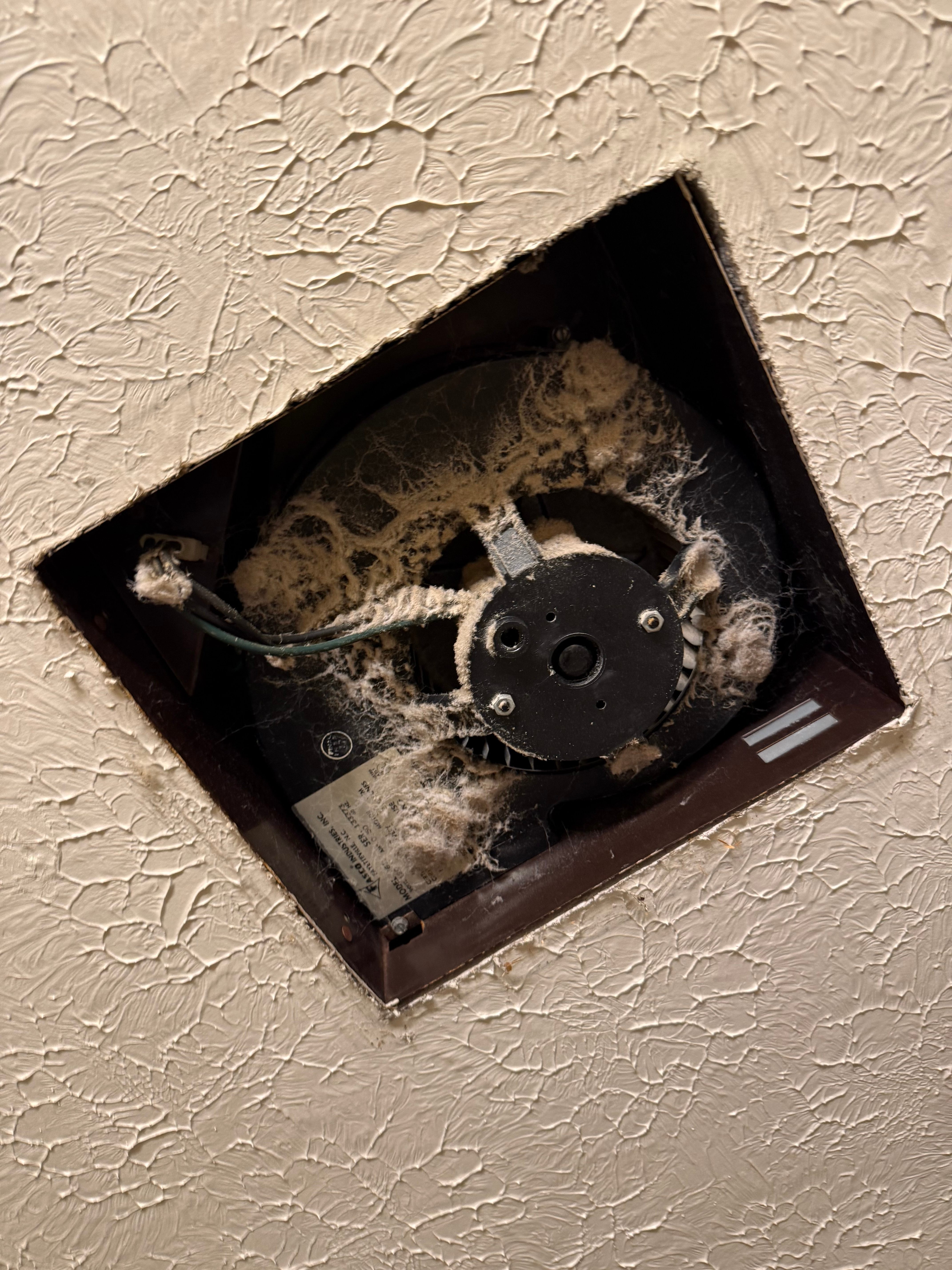 Bathroom Fan Cleaning